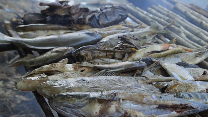 World Medicine - Guyane – Médecine tropicale sur le Maroni - Photos