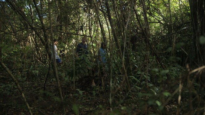Tradičná medicína vo svete - Season 3 - Guyane – Médecine tropicale sur le Maroni - Z filmu