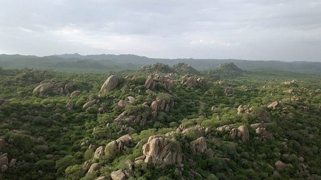 Photographes Voyageurs - Tanzanie, les derniers chasseurs-cueilleurs - Do filme