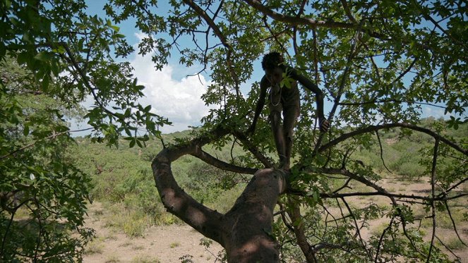 Photographes Voyageurs - Tanzanie, les derniers chasseurs-cueilleurs - Z filmu