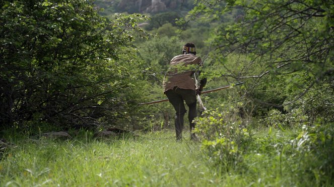 Photographes Voyageurs - Tanzanie, les derniers chasseurs-cueilleurs - De filmes