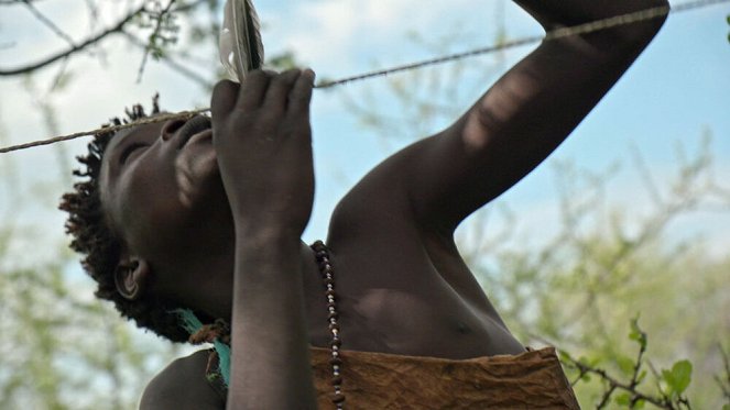 Photographes Voyageurs - Tanzanie, les derniers chasseurs-cueilleurs - Z filmu