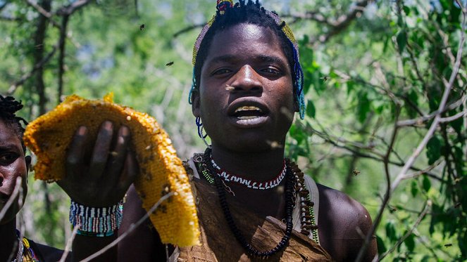 Photographes Voyageurs - Tanzanie, les derniers chasseurs-cueilleurs - Van film