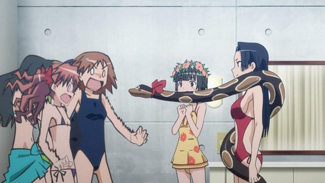 A Certain Scientific Railgun - A Bikini Divides the Eyeline Between Top and Bottom, but a One-Piece Shows Off the Figure so They Only Flatter the Slender - Photos