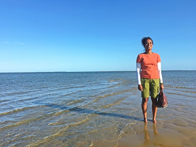 Pia und die wilde Natur - Was geht ab im Wattenmeer - Filmfotók