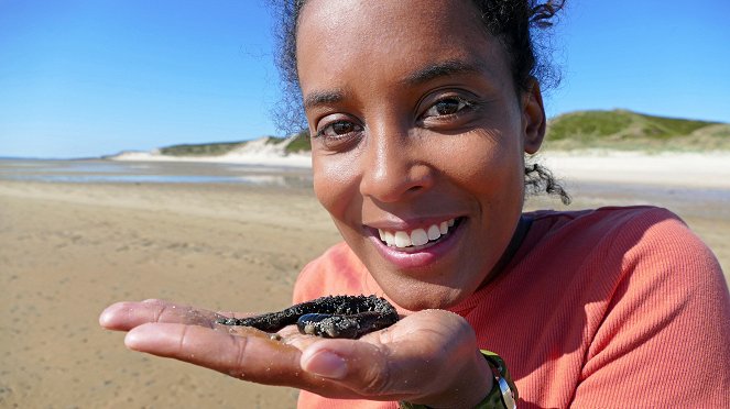 Pia und die wilde Natur - Season 1 - Was geht ab im Wattenmeer - Z filmu