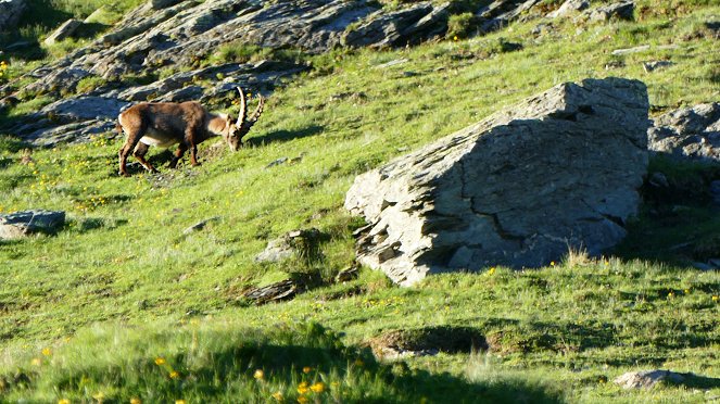 Pia und die wilde Natur - Season 1 - Abenteuer Hochgebirge - Filmfotos