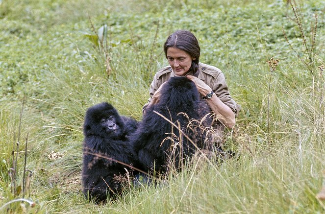 She Walks with Apes - Photos