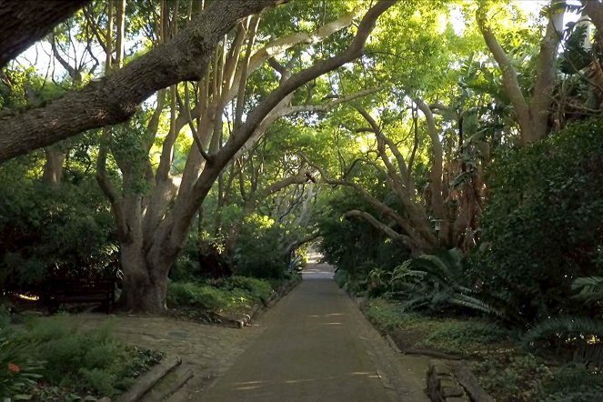 Jardins d'ici et d'ailleurs - Kirstenbosch - Kuvat elokuvasta