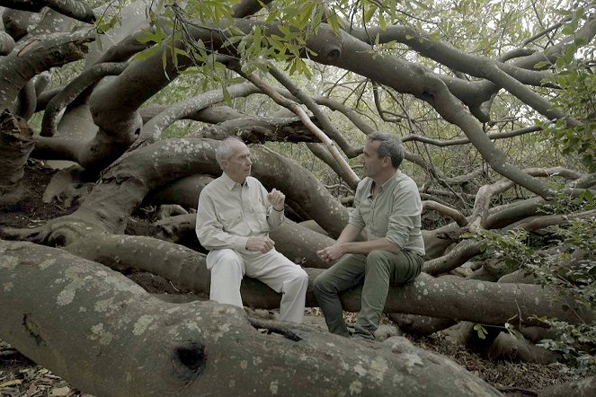 Jardins d'ici et d'ailleurs - Season 3 - Kirstenbosch - Z filmu