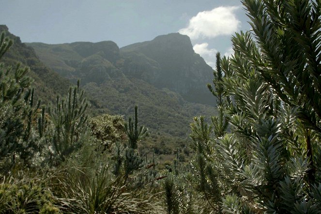Jardins d'ici et d'ailleurs - Season 3 - Kirstenbosch - Z filmu