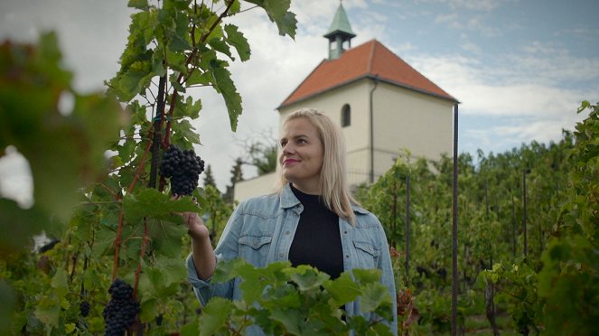 Milovníci vína - Čechy - De la película