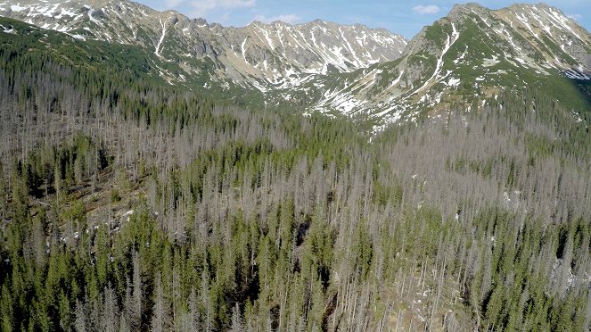 Tajomné Karpaty - Nesmrteľný les - Kuvat elokuvasta