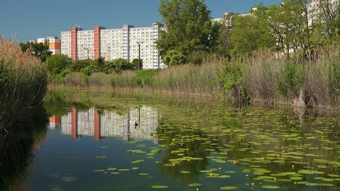Bratislava, mesto uprostred prírody - De la película