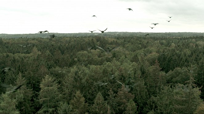 Temný les - Z filmu