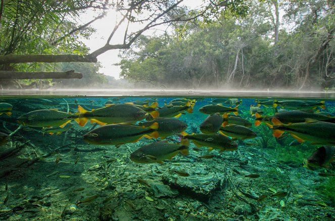 Unser Wasser – Faszinierende Wunderwelten - Geschenk der Natur - Filmfotos