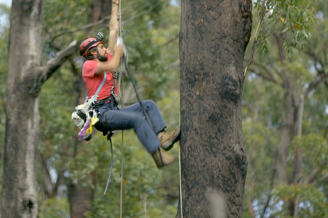 À la reconquête des forêts - Tasmanie, sauver les derniers géants - Van film