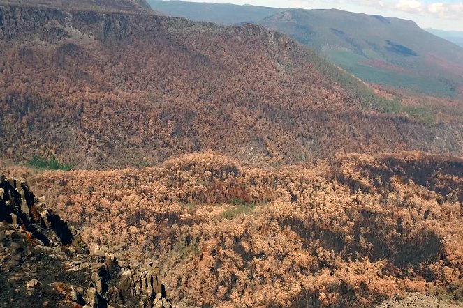 Az erdők megmentése - Tasmanie, sauver les derniers géants - Filmfotók