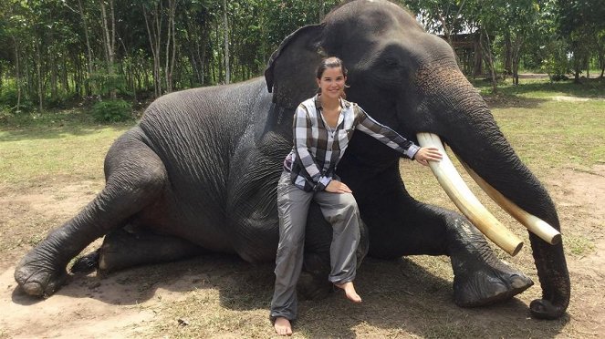 Anna und die wilden Tiere - Beim Elefantendoktor - Filmfotók - Annika Preil