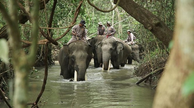 Anna und die wilden Tiere - Beim Elefantendoktor - Filmfotos