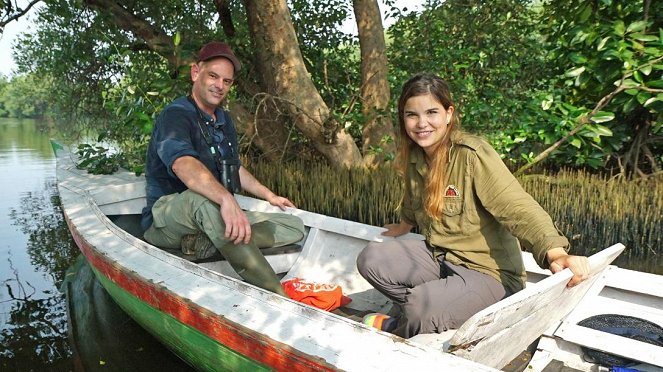Anna und die wilden Tiere - Die verrückte Welt der Mangroven - Photos - Annika Preil