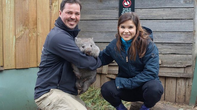 Anna und die wilden Tiere - Warum der Wombat Würfel kackt - Photos - Annika Preil