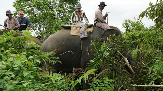 Anna und die wilden Tiere - Unterwegs mit der Elefantenpolizei - Z filmu