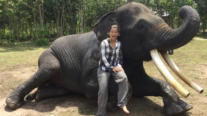 Anna und die wilden Tiere - Unterwegs mit der Elefantenpolizei - Filmfotos - Annika Preil