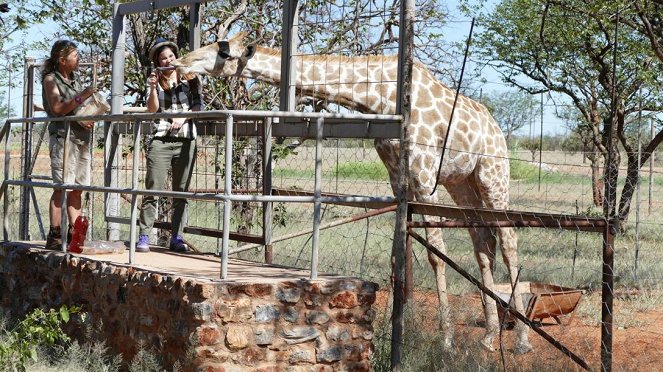 Anna und die wilden Tiere - Die Zunge der Giraffe - Photos