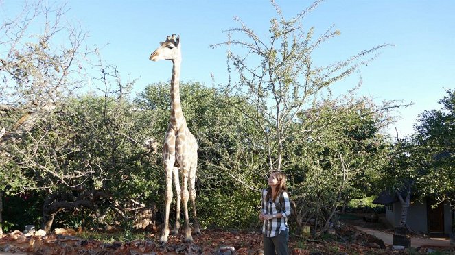 Anna und die wilden Tiere - Die Zunge der Giraffe - Film