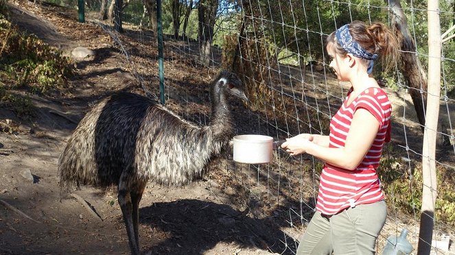 Anna und die wilden Tiere - Der Emu legt nur grüne Eier - Van film - Annika Preil