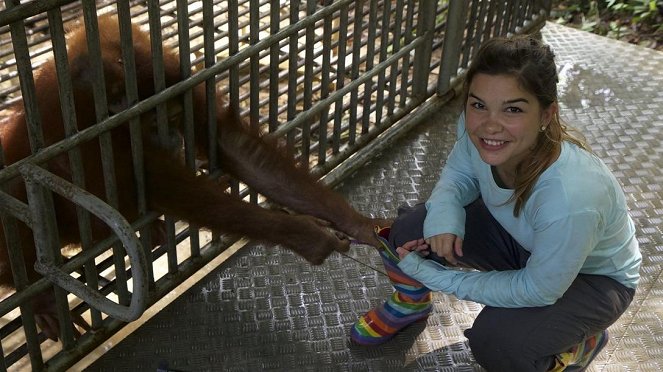 Anna und die wilden Tiere - Orang-Utans in der Schule - Film - Annika Preil