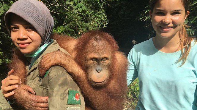 Anna und die wilden Tiere - Orang-Utans in der Schule - Photos - Annika Preil