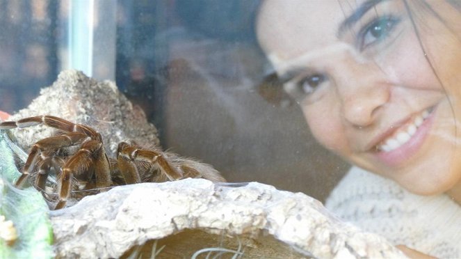 Anna und die wilden Tiere - Keine Angst vor Spinnen - Film