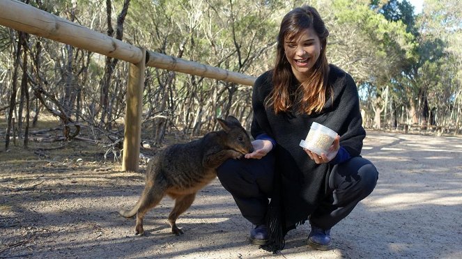 Anna und die wilden Tiere - Boxen mit dem Känguru - Photos - Annika Preil