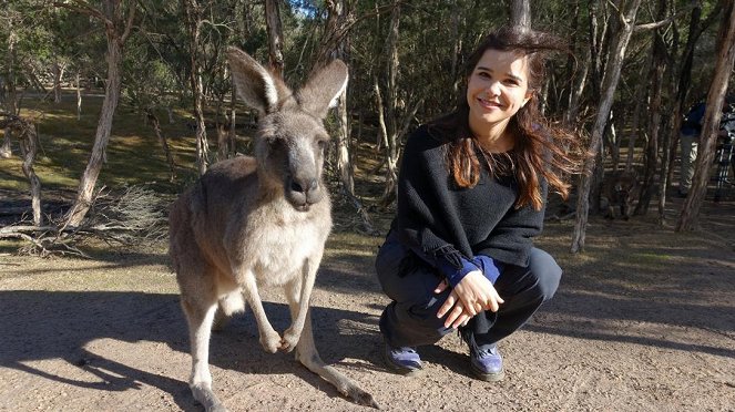 Anna und die wilden Tiere - Boxen mit dem Känguru - Van film - Annika Preil