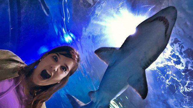 Anna und die wilden Tiere - Mit dem Hai unter Wasser - Photos - Annika Preil