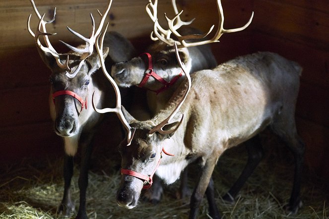 Északi fény karácsonykor - Filmfotók