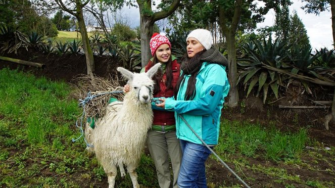 Anna und die wilden Tiere - Lama und Alpaka – Die Meisterspucker - Photos - Annika Preil