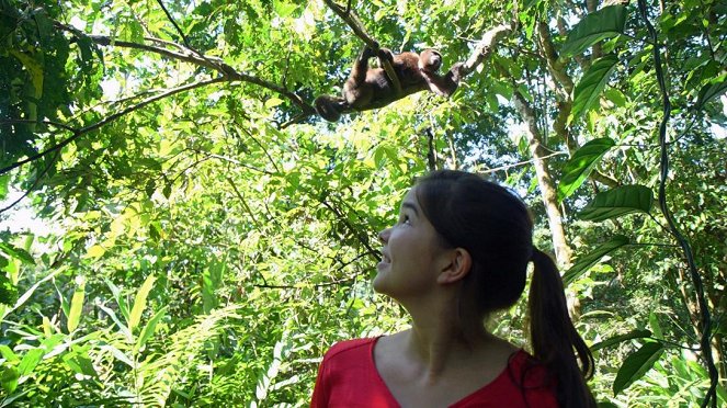 Anna und die wilden Tiere - Die Affen mit den breiten Nasen - Photos - Annika Preil