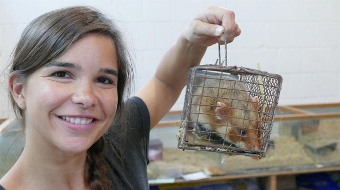 Anna und die wilden Tiere - Wenn Feldhamster umziehen - Filmfotos - Annika Preil