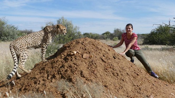 Anna und die wilden Tiere - So jagt der Gepard - Filmfotos - Annika Preil