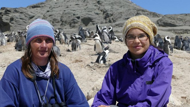 Anna und die wilden Tiere - Praktikum bei den Pinguinen - Photos - Annika Preil
