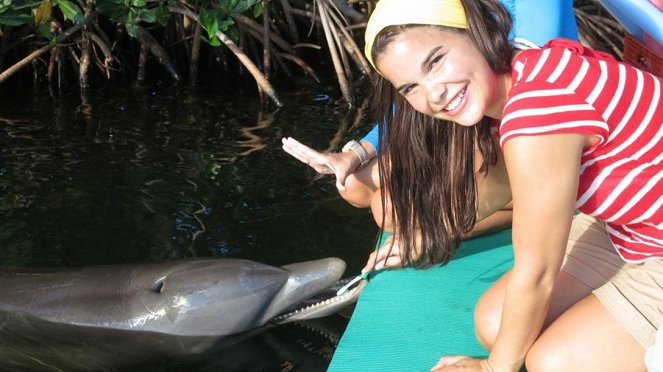 Wie pupst der Delfin? - Annika Preil