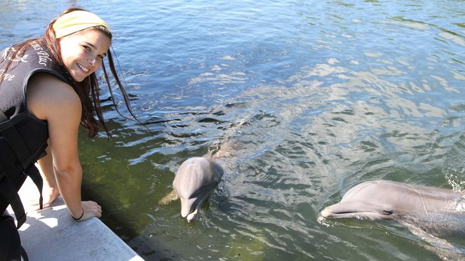 Anna und die wilden Tiere - Wie pupst der Delfin? - Photos - Annika Preil