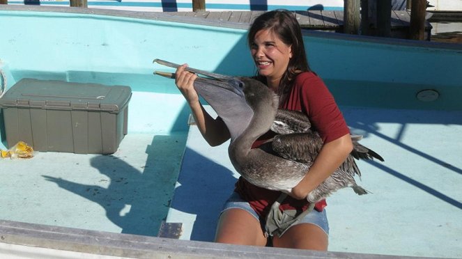 Anna und die wilden Tiere - Wie fischt der Pelikan? - Photos - Annika Preil