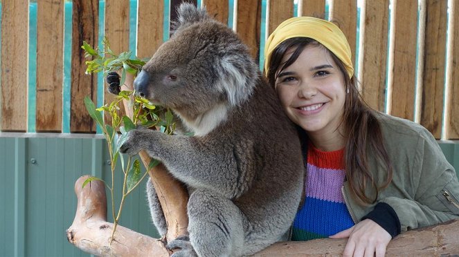 Anna und die wilden Tiere - Voll süß, Koala! - Van film - Annika Preil