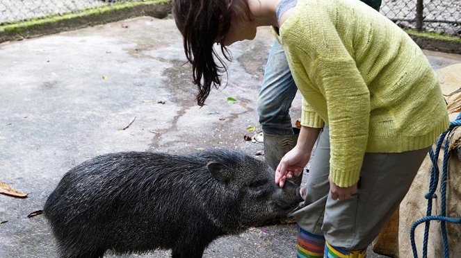 Anna und die wilden Tiere - Pekaris sind auch Schweine - Photos