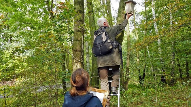 Anna und die wilden Tiere - Schlaf gut, kleine Haselmaus - Van film