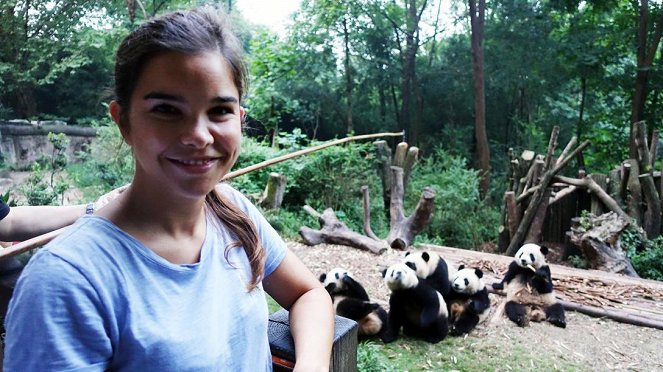 Anna und die wilden Tiere - Wie angelt man sich einen Großen Panda? - Filmfotók - Annika Preil